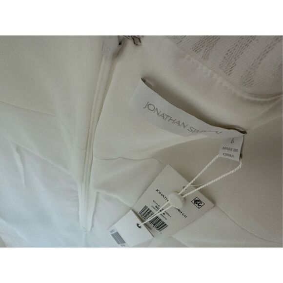 JONATHAN SIMKHAI Benton Pleated Tulle Dress Size 6 - Picture 6 of 9